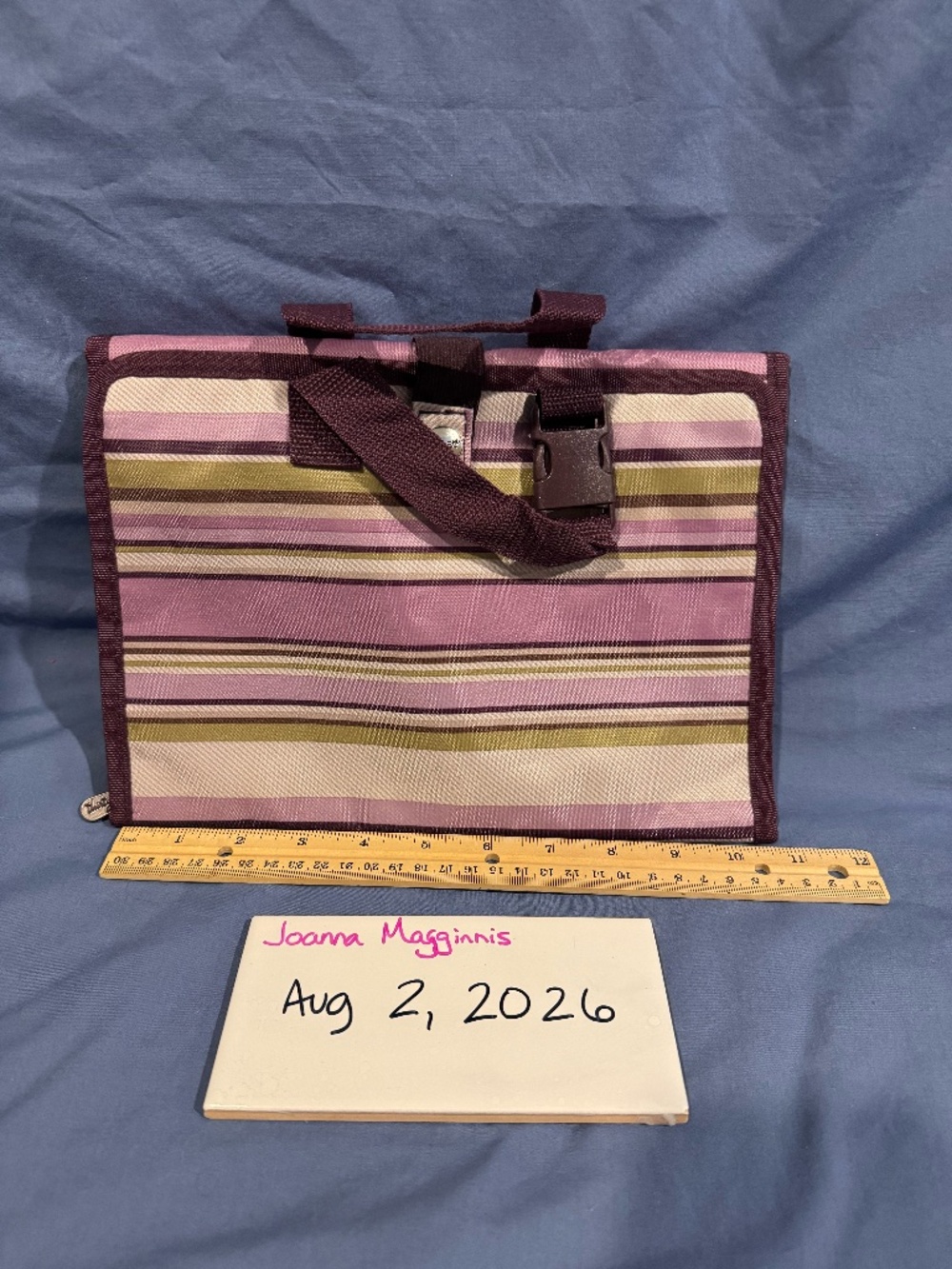 Thirty One Timeless Beauty Bag Plum Stripe